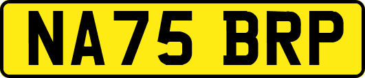 NA75BRP
