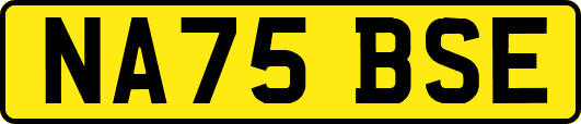 NA75BSE