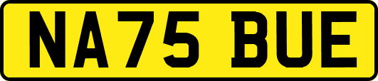 NA75BUE