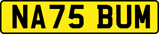 NA75BUM