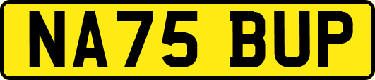 NA75BUP