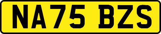 NA75BZS