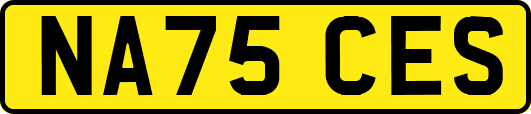 NA75CES