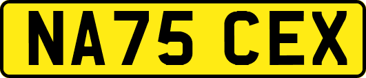 NA75CEX