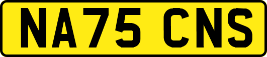 NA75CNS