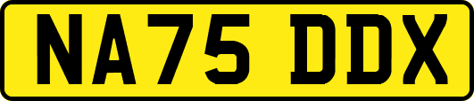 NA75DDX