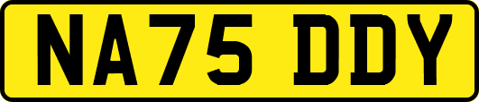 NA75DDY