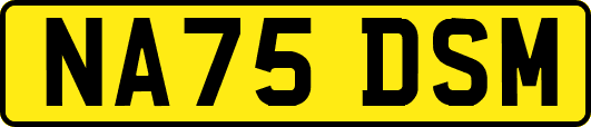 NA75DSM