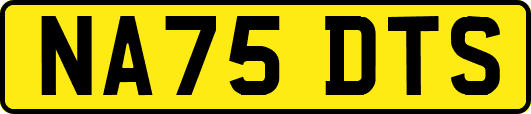 NA75DTS