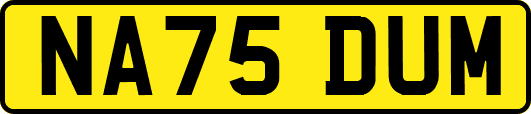 NA75DUM