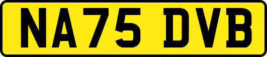 NA75DVB