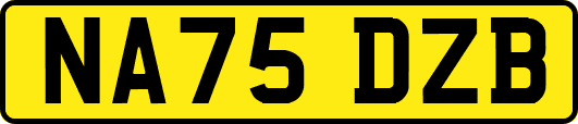 NA75DZB