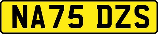 NA75DZS