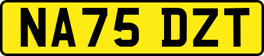NA75DZT