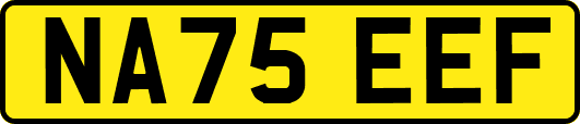 NA75EEF