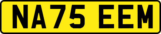 NA75EEM