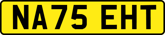 NA75EHT