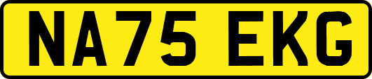 NA75EKG