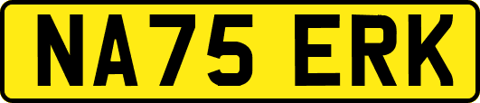 NA75ERK
