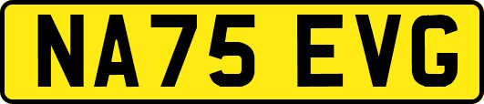 NA75EVG