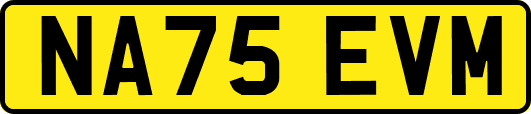 NA75EVM