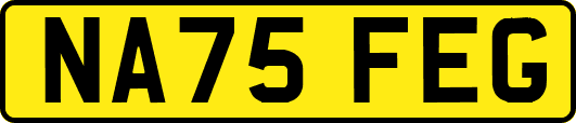 NA75FEG