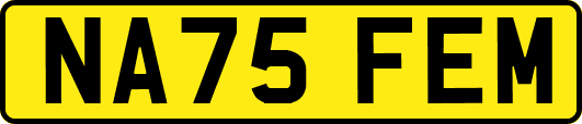 NA75FEM
