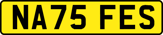 NA75FES