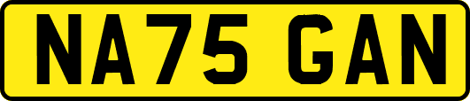NA75GAN