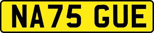 NA75GUE