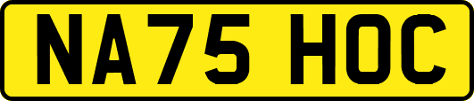 NA75HOC
