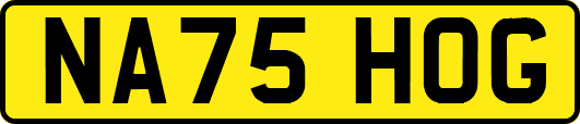 NA75HOG
