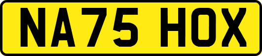 NA75HOX