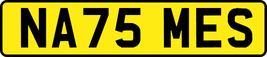 NA75MES