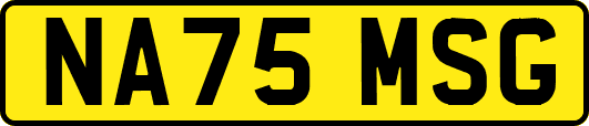 NA75MSG