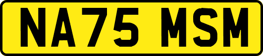 NA75MSM