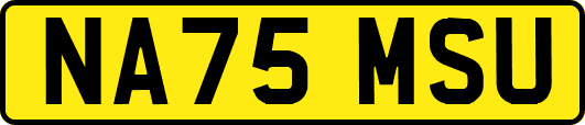 NA75MSU