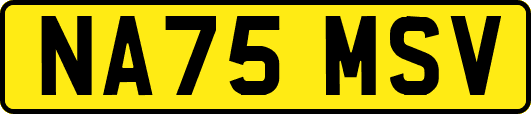 NA75MSV