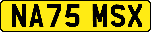 NA75MSX
