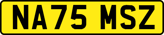 NA75MSZ