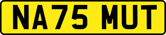 NA75MUT