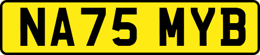 NA75MYB