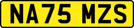NA75MZS