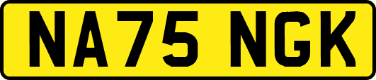NA75NGK