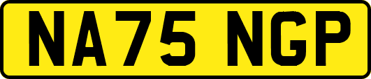 NA75NGP