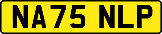 NA75NLP