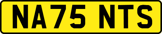 NA75NTS