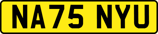 NA75NYU