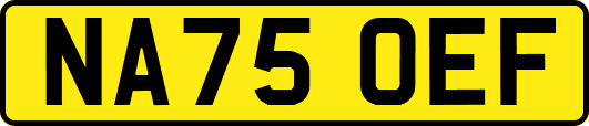 NA75OEF
