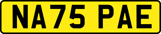 NA75PAE